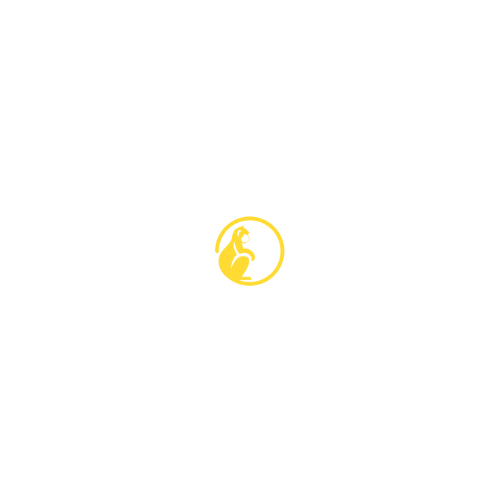 Monkymedia logo (5000 x 5000 px) (500 x 500 px) (2)