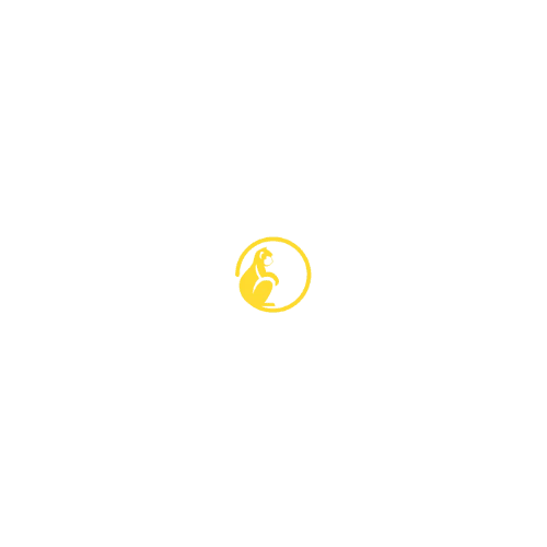 Monkymedia logo (5000 x 5000 px) (500 x 500 px) (2)